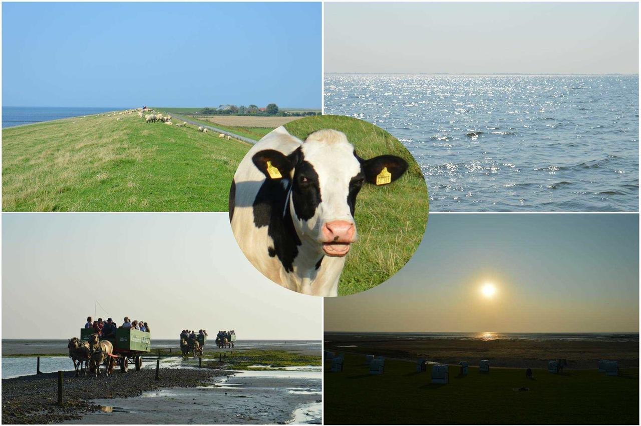 Ferienwohnungen im Womoland auf Nordstrand Exterior foto